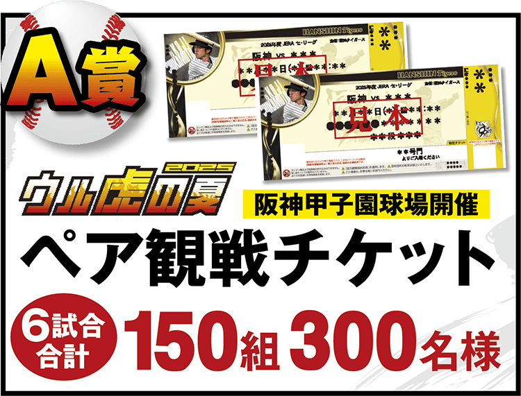 A賞 阪神甲子園球場開催 ペア観戦チケット