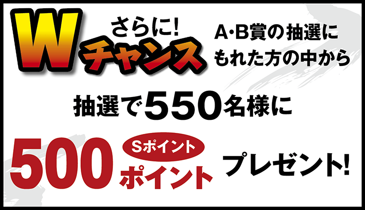 Wチャンス A・B賞の抽選にもれた方の中から抽選で550名様にSイント500ポイントプレゼント!